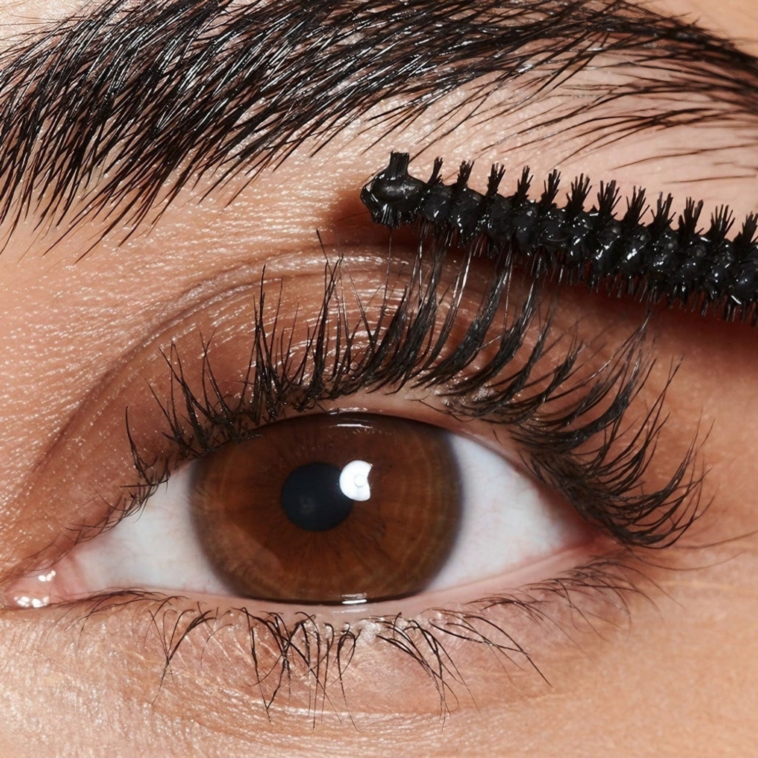 Estee Lauder Sumptuous Extreme Mascara Swatch