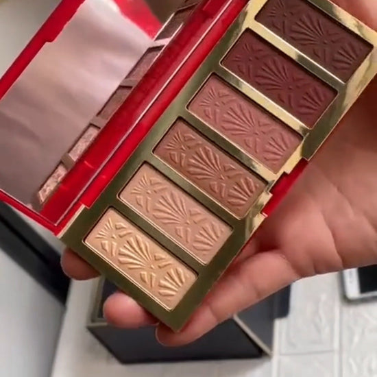 Estee lauder eyeshadow palette trick of the eyes High-end premium Matte and pigment shades 